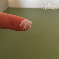 фото из отзыва ID 2074181