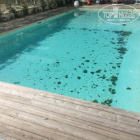 фото из отзыва ID 2074181