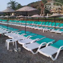 фото из отзыва ID 2074206