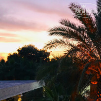 фото из отзыва ID 2074289