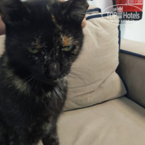 фото из отзыва ID 2074266