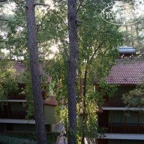 фото из отзыва ID 2074294