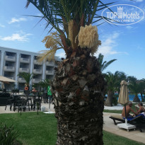 фото из отзыва ID 2074317