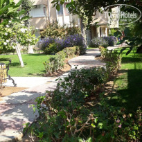 фото из отзыва ID 2074334