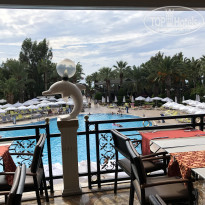 фото из отзыва ID 2074310