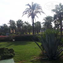 фото из отзыва ID 2074338