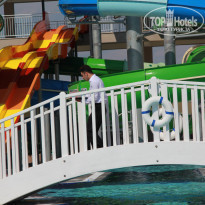 фото из отзыва ID 2074302