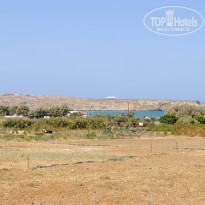 фото из отзыва ID 2074330