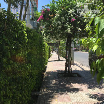 фото из отзыва ID 2074356