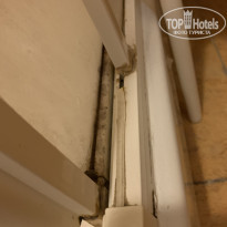 фото из отзыва ID 2074403