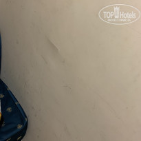 фото из отзыва ID 2074403