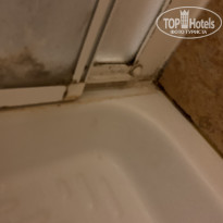 фото из отзыва ID 2074403