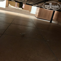 фото из отзыва ID 2074403