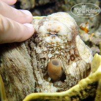 фото из отзыва ID 2074448