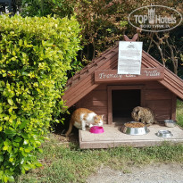 фото из отзыва ID 2074553