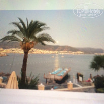 фото из отзыва ID 2074608