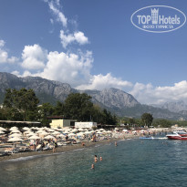 фото из отзыва ID 2074690