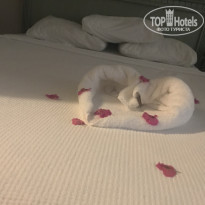 фото из отзыва ID 2074732