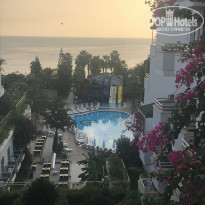 фото из отзыва ID 2074732