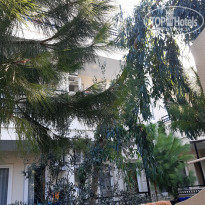 фото из отзыва ID 2074911