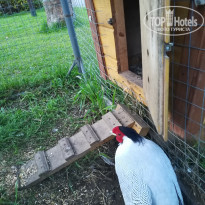 фото из отзыва ID 2074965