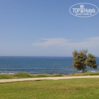 фото из отзыва ID 2074421