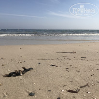 фото из отзыва ID 2075072