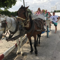 фото из отзыва ID 2075072