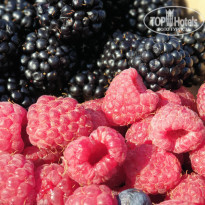 фото из отзыва ID 2074993