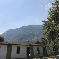 фото из отзыва ID 2075092