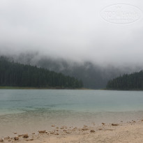 фото из отзыва ID 2074993