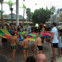 фото из отзыва ID 2075067