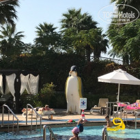 фото из отзыва ID 2075067