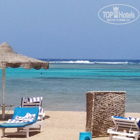 фото из отзыва ID 2075146