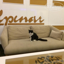 фото из отзыва ID 2075180