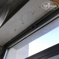 фото из отзыва ID 2075342