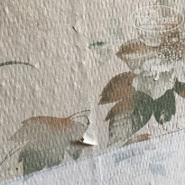 фото из отзыва ID 2075342