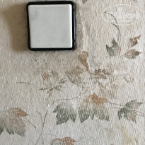 фото из отзыва ID 2075342