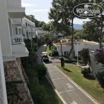 фото из отзыва ID 2075367