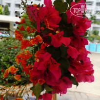 фото из отзыва ID 2075420