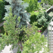 фото из отзыва ID 2075477