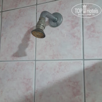 фото из отзыва ID 2075200