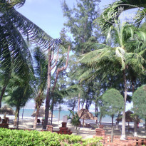 фото из отзыва ID 2075460