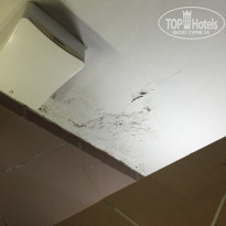 фото из отзыва ID 2075555