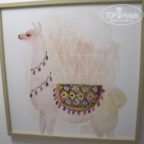 фото из отзыва ID 2075579