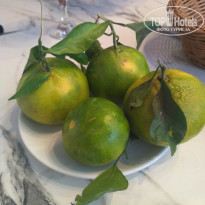 фото из отзыва ID 2075676