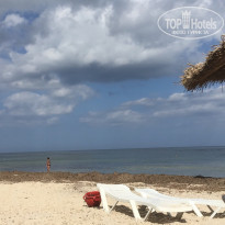 фото из отзыва ID 2075639