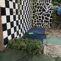 фото из отзыва ID 2075836