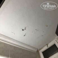 фото из отзыва ID 2075836