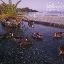 фото из отзыва ID 2075514